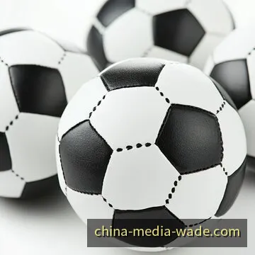 电竞职业联赛全球总决赛